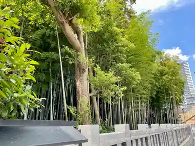 不知森神社(千葉県)