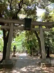 赤坂氷川神社の鳥居