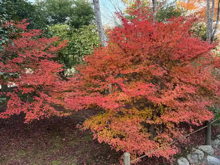 天龍寺(京都府)