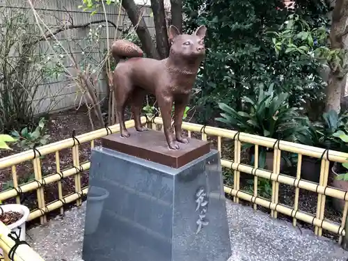 蔵前神社の狛犬