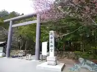 北海道神宮の鳥居