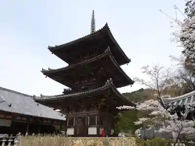 南法華寺（壷阪寺）(奈良県)