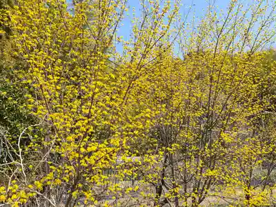 由加神社（和気由加神社）(岡山県)