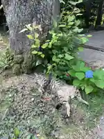 玉野御嶽神社(愛知県)