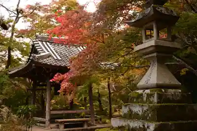 勝持寺（花の寺）(京都府)