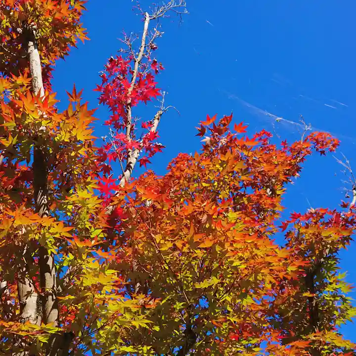 寿量山 速成寺の自然