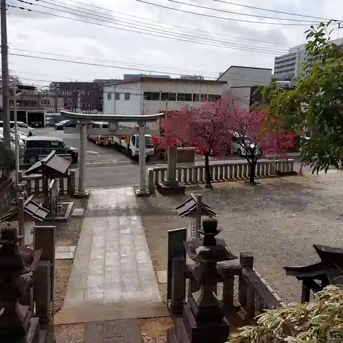 白旗神社の鳥居