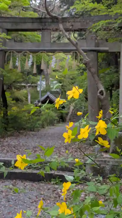 椎尾神社(大阪府)
