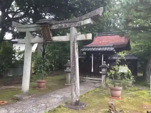 新日吉神宮の鳥居