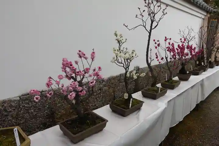 菅原天満宮(菅原神社)のその他建物