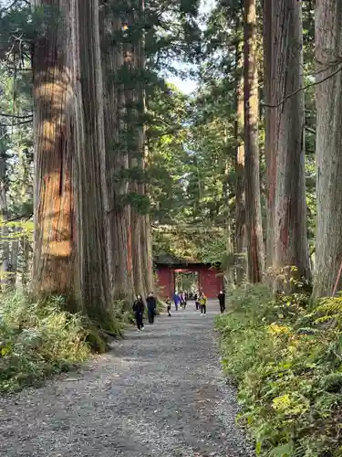 戸隠神社九頭龍社(長野県)