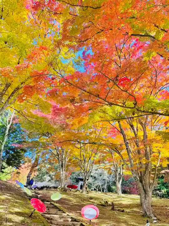 土津神社|こどもと出世の神さま(福島県)