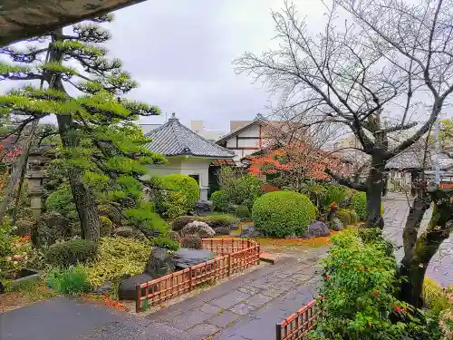 観音寺の庭園