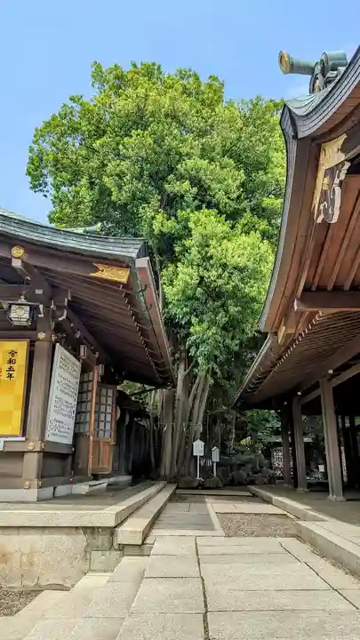 検見川神社の自然