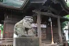 阿邪訶根神社の狛犬