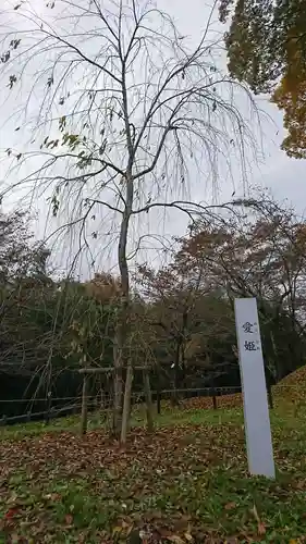 田村神社の自然