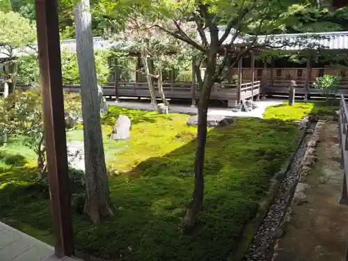 南禅寺の庭園