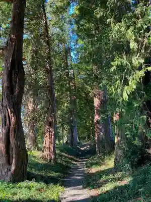 大井神社（太郎神社）(茨城県)