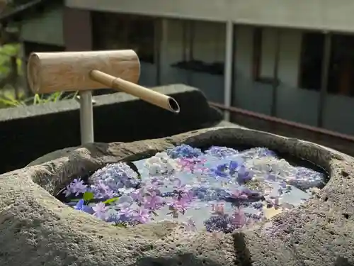 円通寺の手水舎