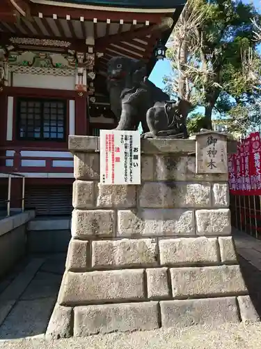 諏訪神社の狛犬