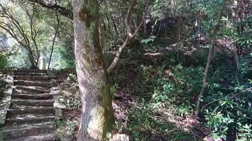 西宮神社の自然