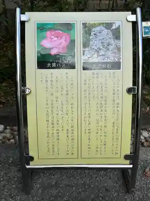 千鳥ヶ淵戦没者墓苑(東京都)