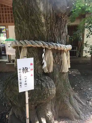 座間神社の自然