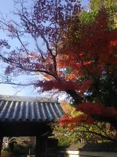 浄光明寺の自然