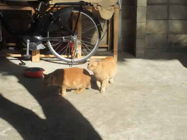 清巌寺(東京都)