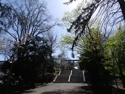 住吉神社のその他建物