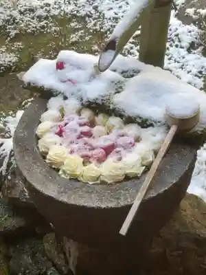 柳谷観音 楊谷寺の手水舎