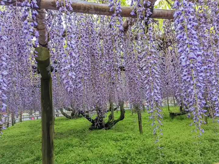 平等院(京都府)
