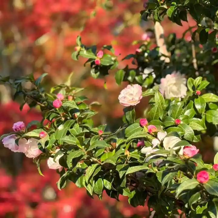 伊勢の国 四天王寺(三重県)