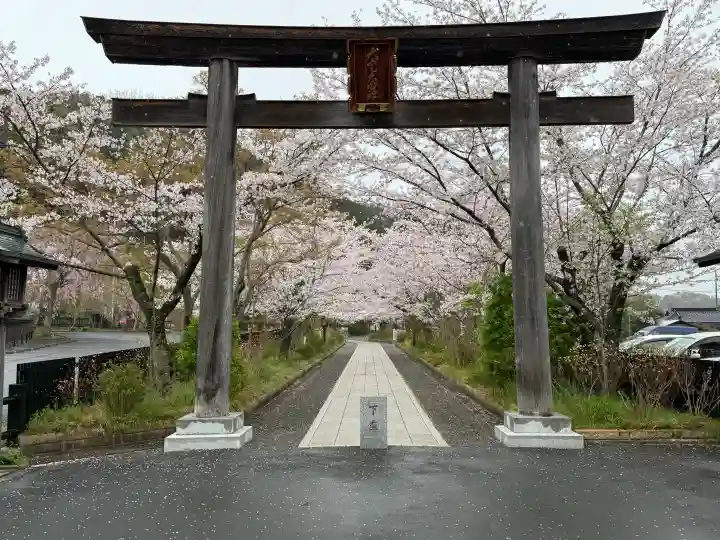 高麗神社の{uncategorized: "未分類", other: "その他", undefined: "問題あり", building: "その他建物", grave: "お墓", sacred_gate: "鳥居", guardian: "狛犬", statue: "像", buddha: "仏像", history: "歴史", nature: "自然", garden: "庭園", animal: "動物", pagoda: "塔", temizu: "手水舎", mountain_gate: "山門・神門", sanctuary: "本殿・本堂", subordinate: "末社・摂社", art: "芸術", scenery: "景色", jizo: "地蔵", ema: "絵馬", goshuin: "御朱印", omikuji: "おみくじ", items: "授与品その他", amulet: "お守り", goshuincho: "御朱印帳", eats: "食事", festival: "お祭り", votive_dance: "神楽", shichigosan: "七五三参", wedding: "結婚式", experience: "体験その他", initially: "初詣", around: "周辺", anti_infection: "感染症対策"}
