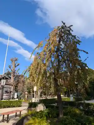 常性寺(東京都)