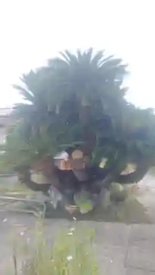 井際山 如意輪寺(愛知県)