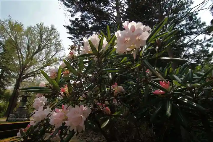 三春大神宮の自然