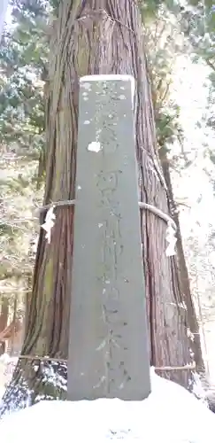 河口浅間神社の建物その他