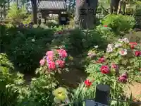 玄向寺(長野県)