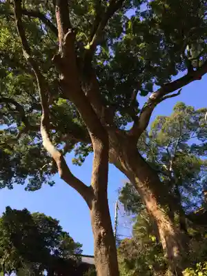 千栗八幡宮(佐賀県)