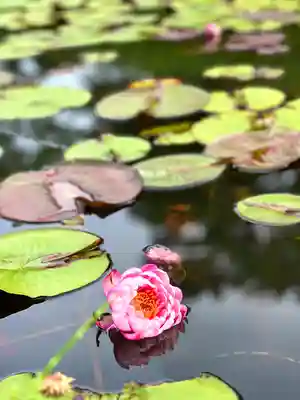 倶梨迦羅神社(長野県)