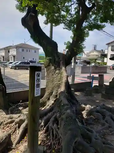 須賀神社の自然