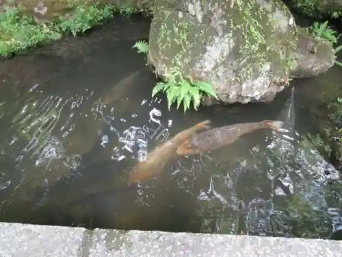 石山寺(滋賀県)