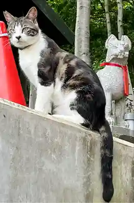 清田稲荷神社(北海道)