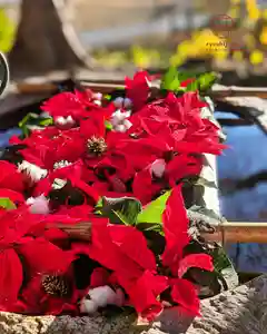 立志神社(滋賀県)(2025年12月13日(土) 13時23分18秒投稿)