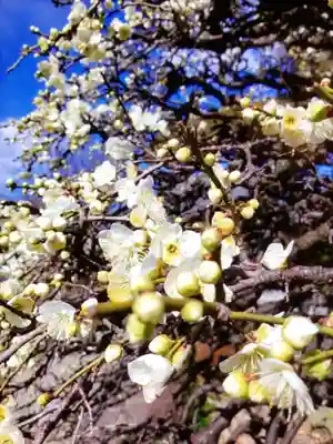 松應寺(東京都)