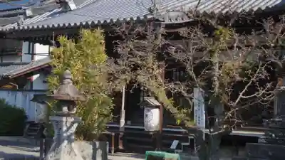 廬山寺(廬山天台講寺)(京都府)