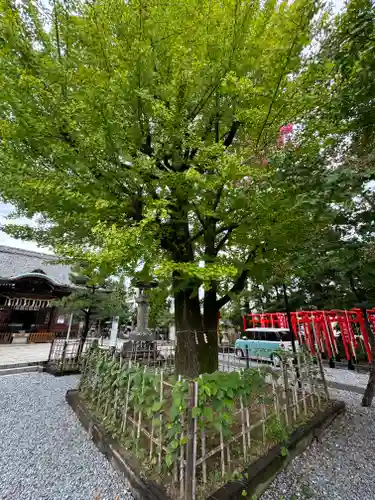 大垣八幡神社(岐阜県)