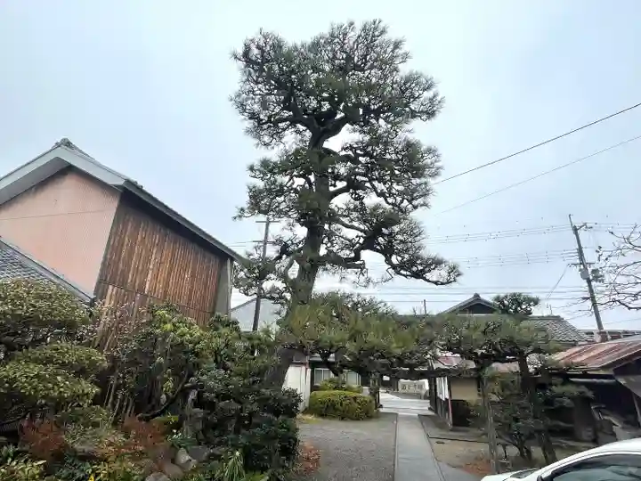 遠久寺(滋賀県)
