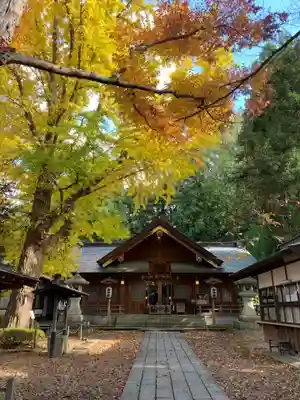 住吉神社の本殿・本堂